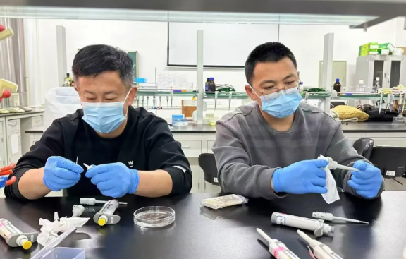 1745819788957380.пнн image.png