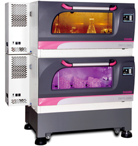 1746690515431773.пнн image.png