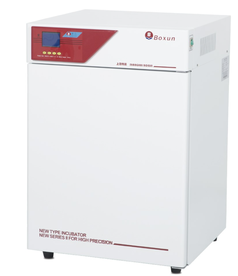 1747187492668009.пнн image.png