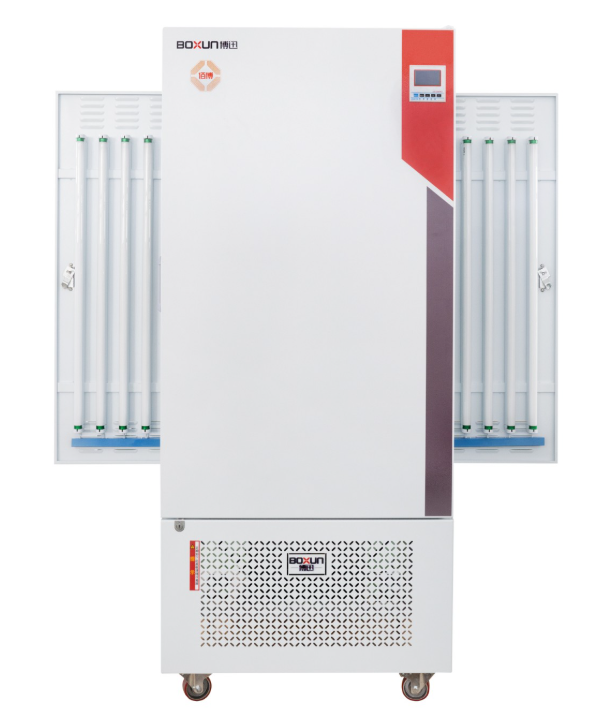 1747187540945711.пнн image.png