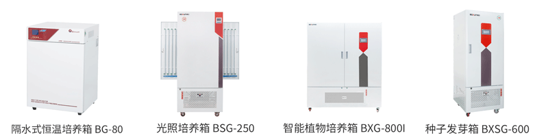 1748403739762163.пнн Эксперименты по прорастанию и росту семян. png