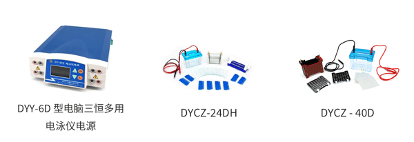 1748403939845384.пнн Белковый электрофорез перенос. png