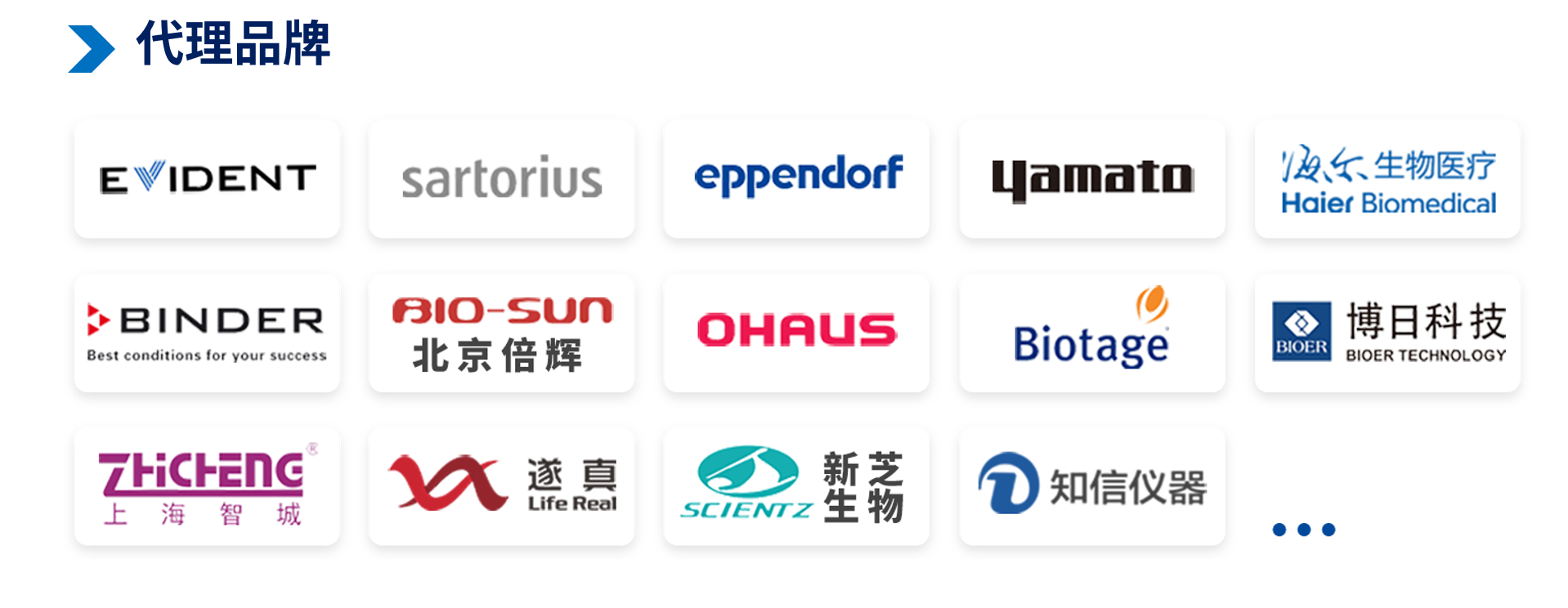 Агент бренд 3. png