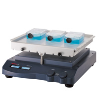 Dalong Standard Rocker Rocker SK-R1807-E