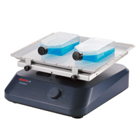 Большой дракон ВЕЛ Цифровой дисплей 3D Shaker SK-D1807-S